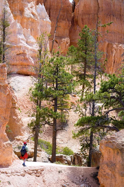 Senderismo en Bryce Canyon — Foto de Stock