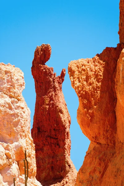 Skulpturer i bryce canyon — Stockfoto