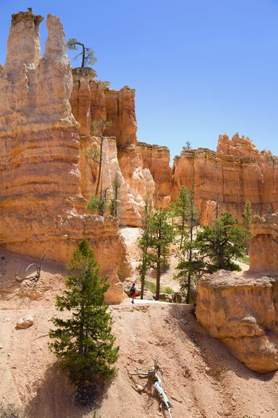 Vandring i Bryce Canyon — Stockfoto