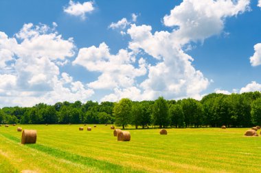 Hay Bales clipart