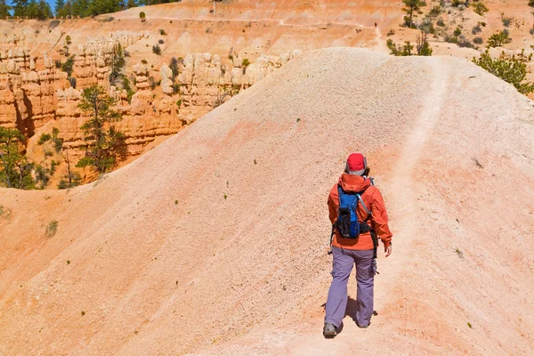 Bryce canyon wanderer — Stockfoto