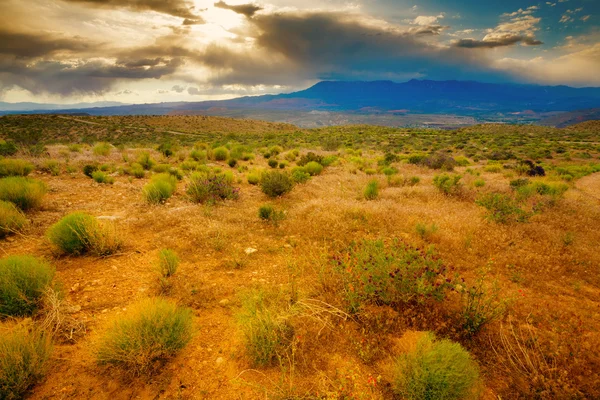 Landschap Utah — Stockfoto