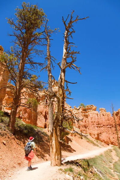 Kvinna som tittar på bryce canyon — Stockfoto