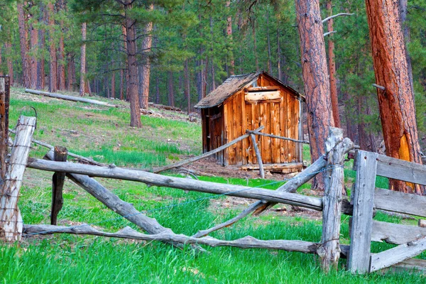 在美国亚利桑那州北部的松树林木屋 — 图库照片