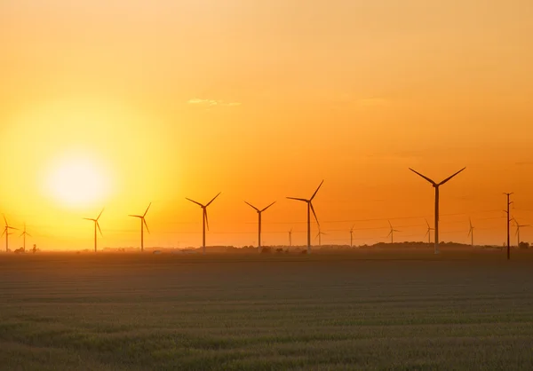 夕暮れ時 インディアナ州の風力発電所のビュー — Stockfoto