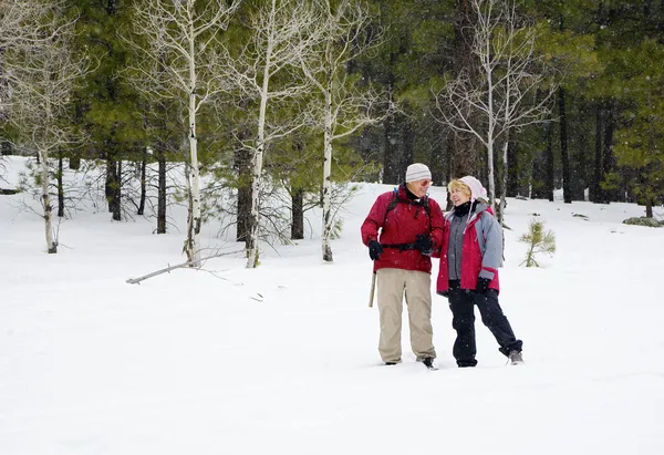 活跃退休的夫妇玩雪 — 图库照片