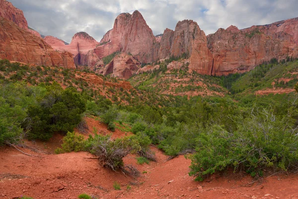stock image Scenic view of the red rock cliffs in Zion National Park