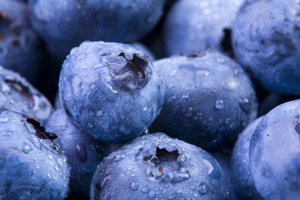 Blueberries — Stock Photo, Image