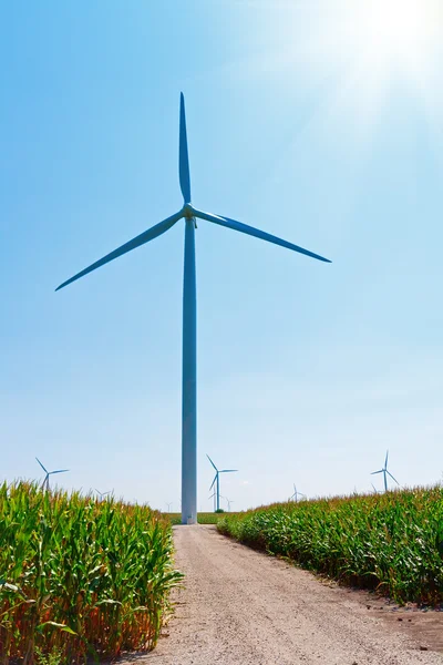 Wind Farm Road Side Indiana — Stock Photo, Image