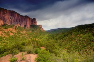 Zion national park