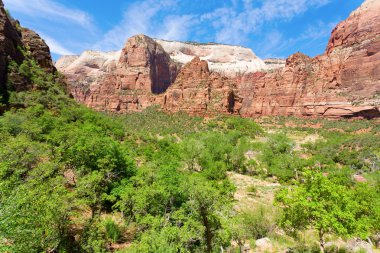 bir kanyonun zion national park içinde görünüm