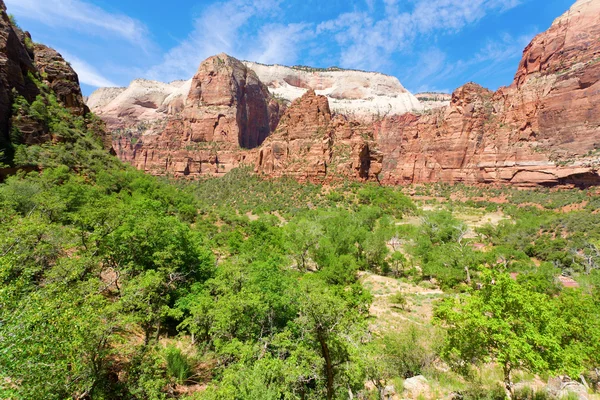 Vista Cañón Dentro Del Parque Nacional Zion —  Fotos de Stock