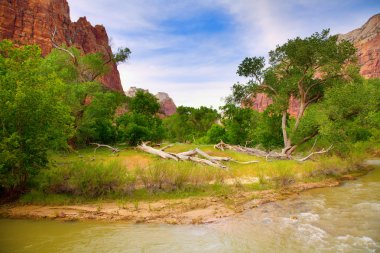 Zion Canyon