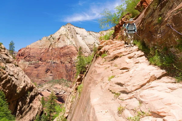 Hikers Descending Steep Trail Zion National Park — Stock Photo, Image