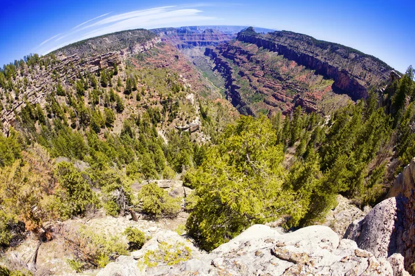 Grand canyon "rybie oko" — Zdjęcie stockowe