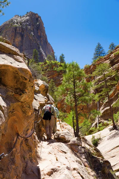 Hikers Climbing Trail Zion National Park — Stock Photo, Image