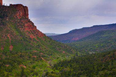 zion national park kanyonda arama