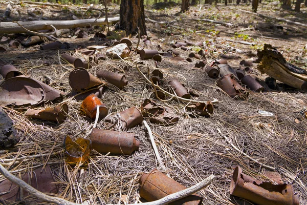 Απορρίμματα στο δάσος — Φωτογραφία Αρχείου