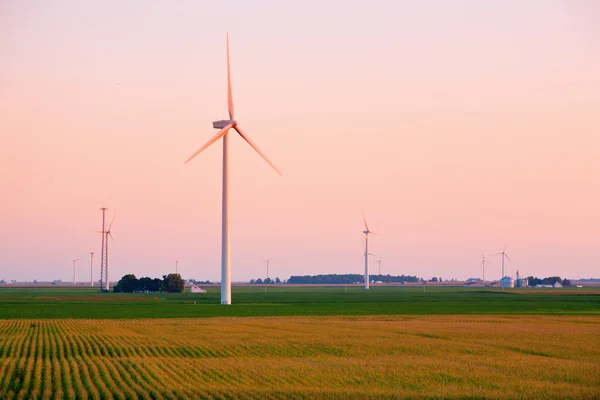 風力発電所の日没 — ストック写真