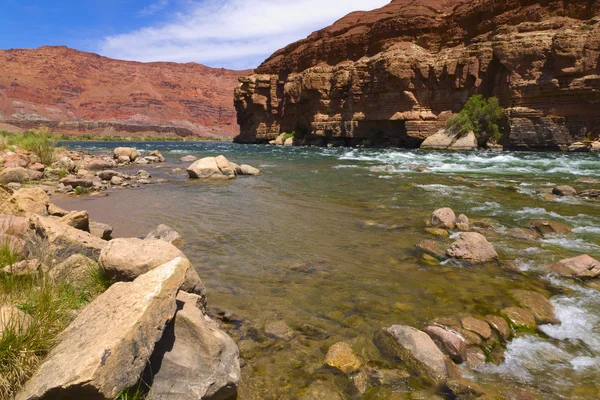 Берег реки Колорадо — стоковое фото