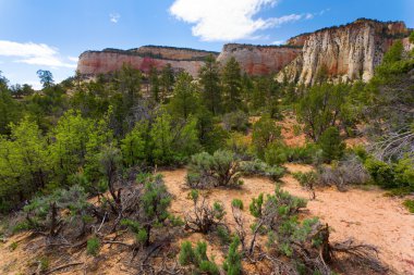 Zion Canyon