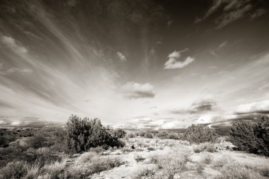 Arizona high desert clipart