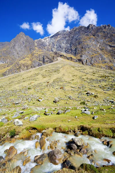 Peruvian Andes — Stock Photo, Image