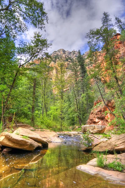 Mountain creek — Stockfoto