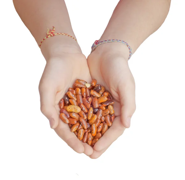 Children Hands Holding Handful Beans — Stock Photo, Image