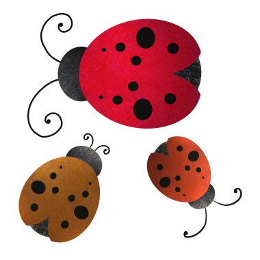 Lady bugs