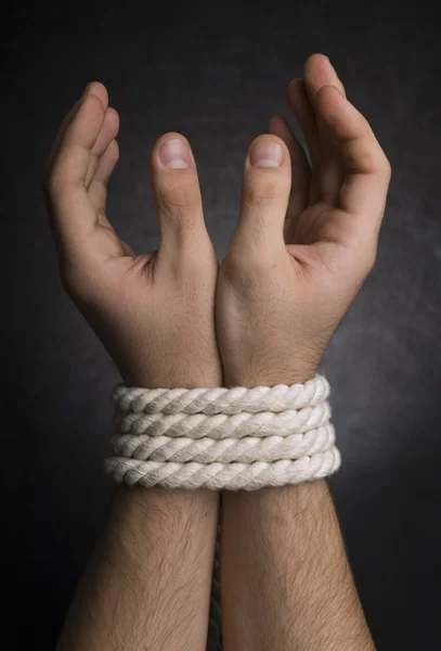 stock image Photo of hands with a rope