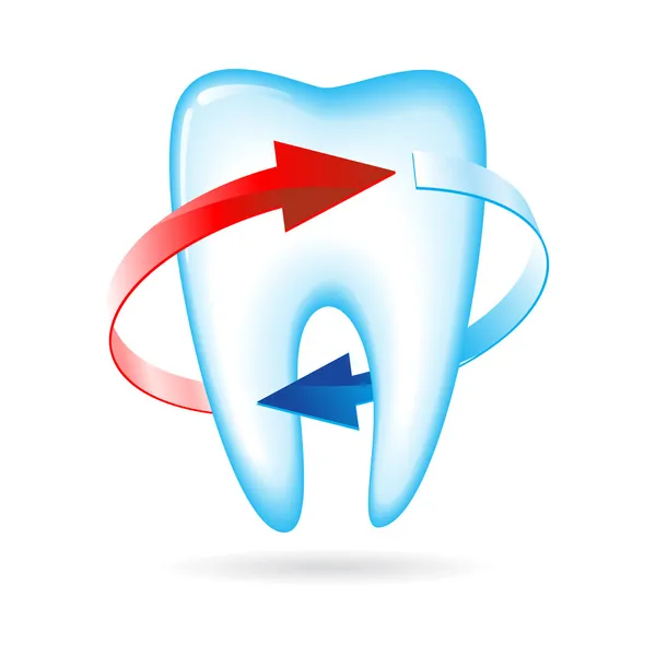Zahn — Stockvektor