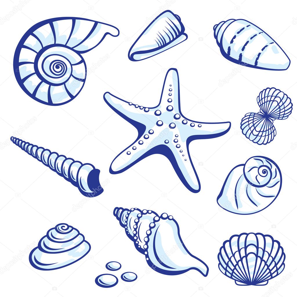 Sea Set From Starfishes and Cockleshells. Vector illustration on white background.