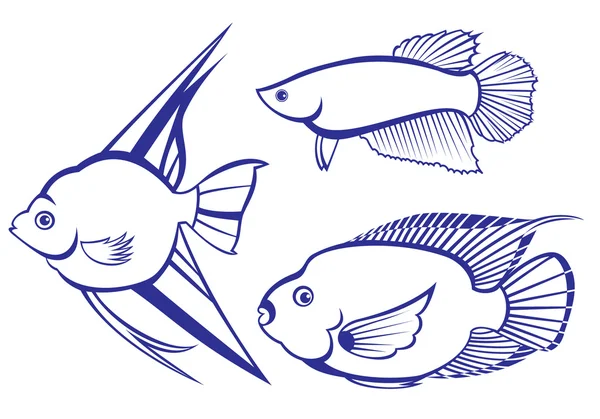 Тропические рыбы — стоковый вектор