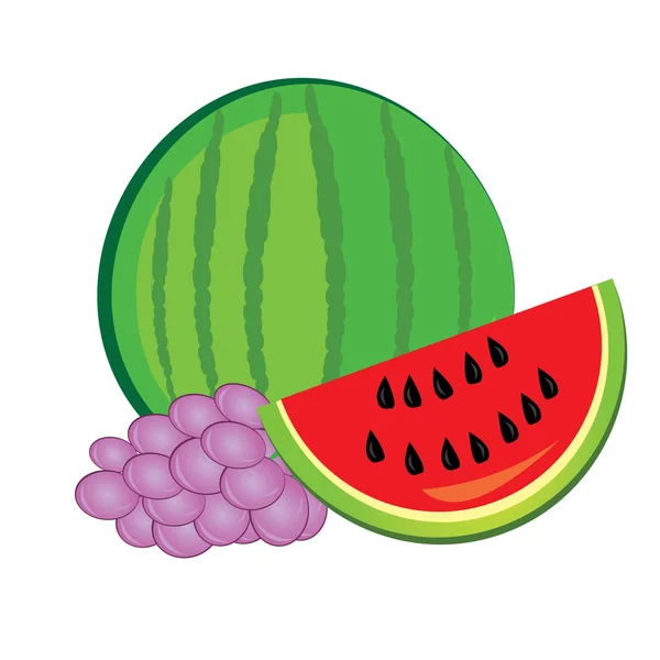 Watermelon and grapes — Stock Vector