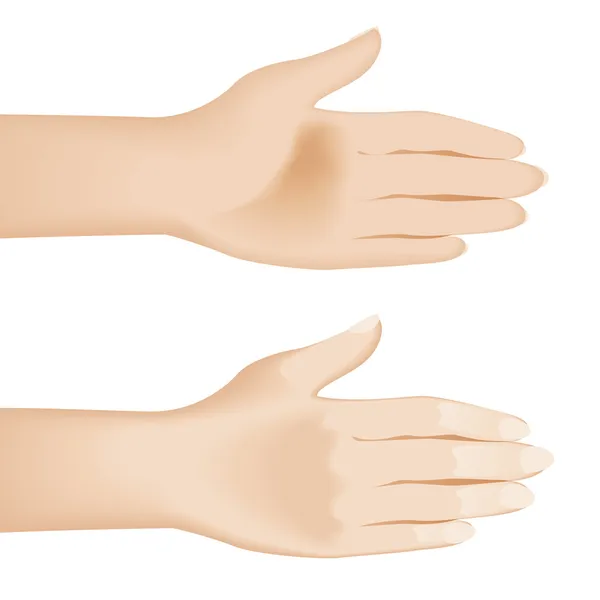 Mains ouvertes isolées sur blanc . — Image vectorielle