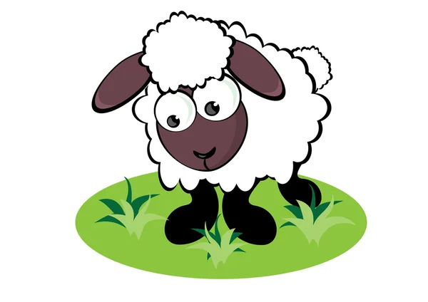 Cartoon Sheep — Stock Vector