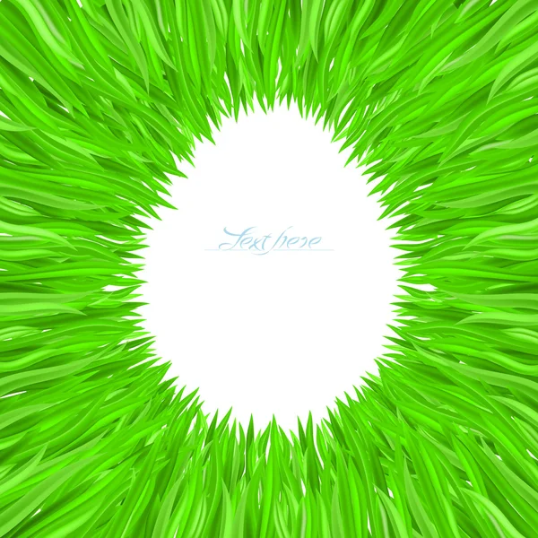 Cadre en herbe — Image vectorielle