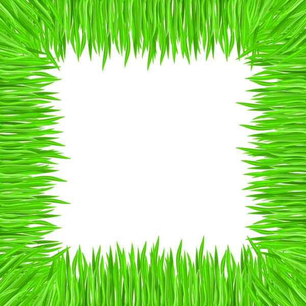 Grass frame — Stock Vector