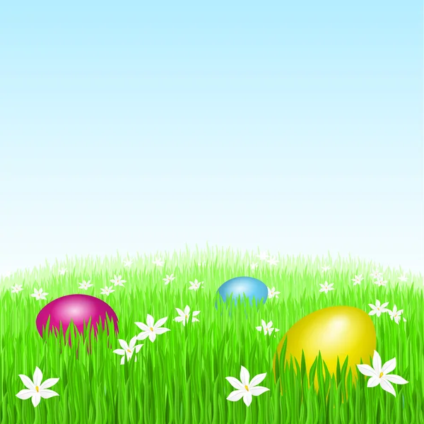 Oeufs de Pâques sur herbe verte — Image vectorielle