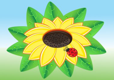 Ladybug on a Sunflowe clipart