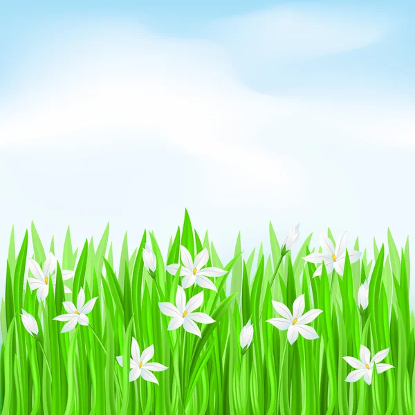 白い花のある緑の草 — ストックベクタ
