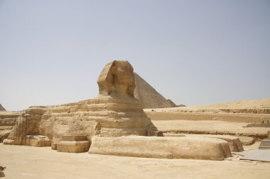 Egyptian Sphinx. Kairo. Giza/