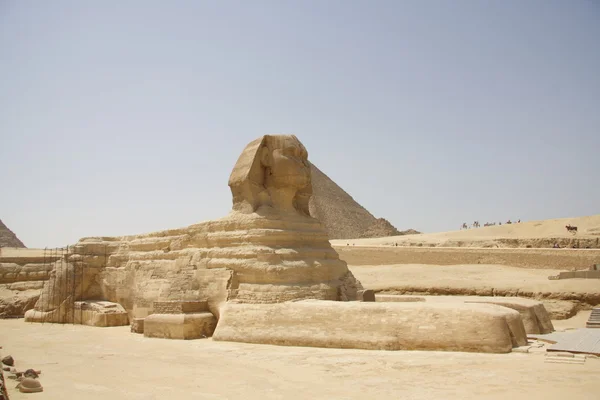 Esfinge Egípcia Cairo Gizé — Fotografia de Stock