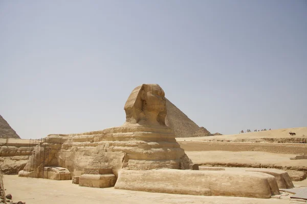 Egyptian Sphinx Royalty Free Stock Photos
