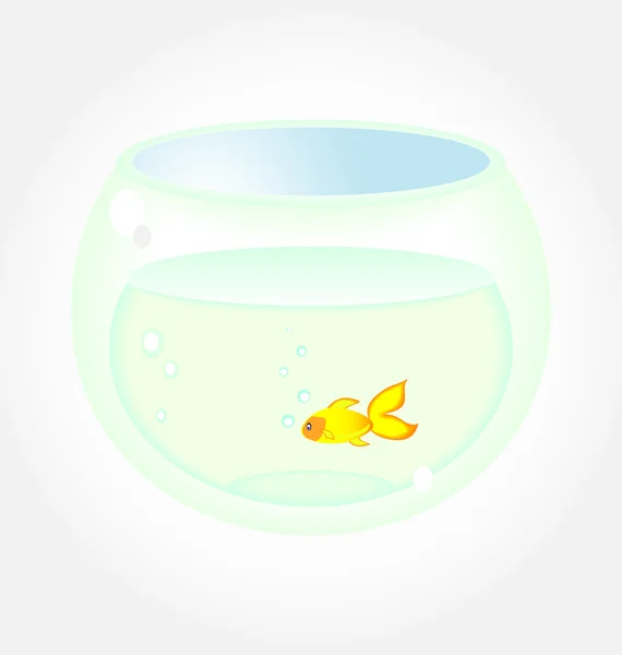 Golden Fish In Aquarium — Stock Vector