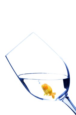 Goldfish in a glass clipart