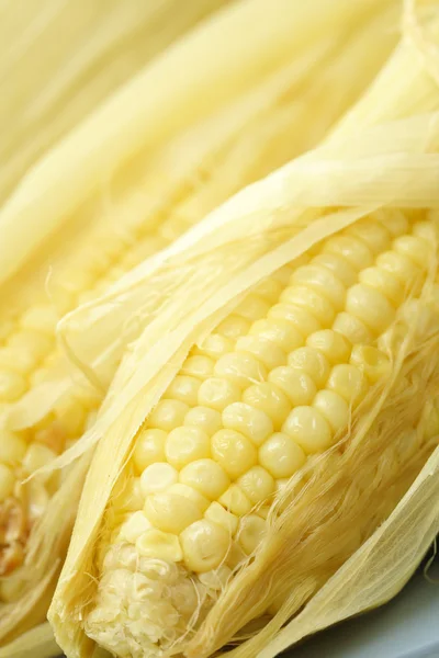 Édes sárga kukorica — Stock Fotó
