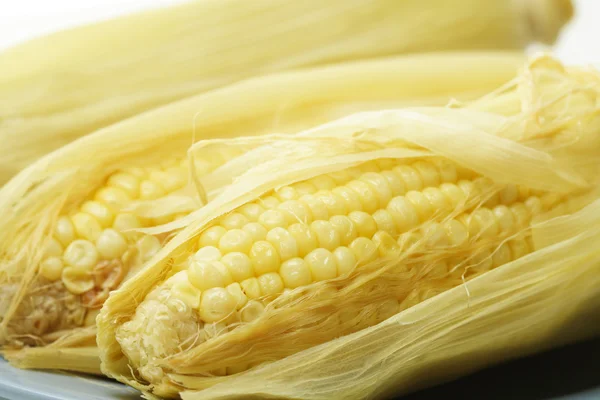 Édes sárga kukorica — Stock Fotó
