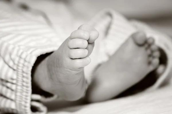 Yeni Doğan Bir Bebeğin Ayakları Siyah Beyaz Bir Kadeh — Stok fotoğraf